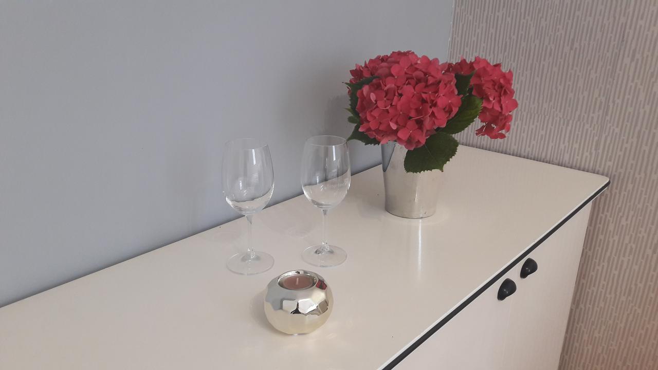 Ars Vip Apartment Нови Сад Екстериор снимка